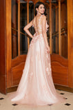 A-Line Spaghetti Straps Blush Long Formal Dress with Appliques