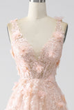 Blush A-Line Spaghetti Straps Long Formal Dress with Appliques