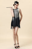 Apricot Fringed Flapper Dress with 20s Accessories Set