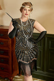 Golden Sequins Plus Size 1920s Gatsby Dress with 20s Acessories Set