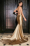 Mermaid Golden Spaghetti Straps Formal Dress with Accessory