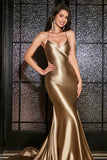 Mermaid Golden Spaghetti Straps Formal Dress with Accessory