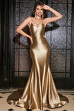 Mermaid Golden Spaghetti Straps Formal Dress with Accessory