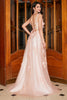 Load image into Gallery viewer, Blush Appliques A Line Spaghetti Straps Formal Dress with Accessory