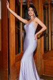 Halter Lilac Mermaid Spaghetti Straps Long Formal Dress with Accessory