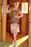 Pink Sequin Gatsby 1920s Flapper Dress