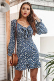 Long Sleeves Print Bodycon Dress