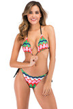 Split Swimsuit Printed Triangle Bikini