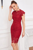 Red Bodycon Lace Dress