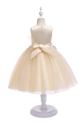 A Line Jewel Blush Flower Girl Dress with Appliques