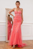 Coral Applique Tulle Formal Dress