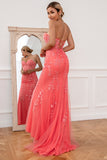 Coral Applique Tulle Formal Dress