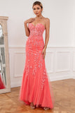 Coral Applique Tulle Formal Dress