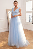 Light Blue Backless Long Formal Dress with Appliques