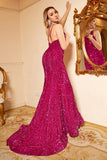 Mermaid One Shoulder Fuchsia Sequins Plus Size Formal Dress with Sweep Train