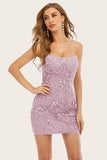 Purple Tight Lace Short Formal Dresses