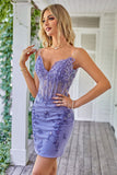 Sparkly Purple Corset Short Formal Dress with Appliques