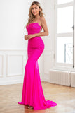 Glitter Hot Pink Mermaid Sequin Formal Dresses